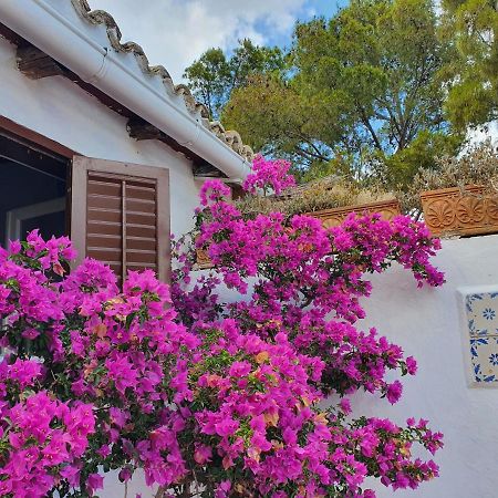 Villa Tonnara San Vito Lo Capo Esterno foto