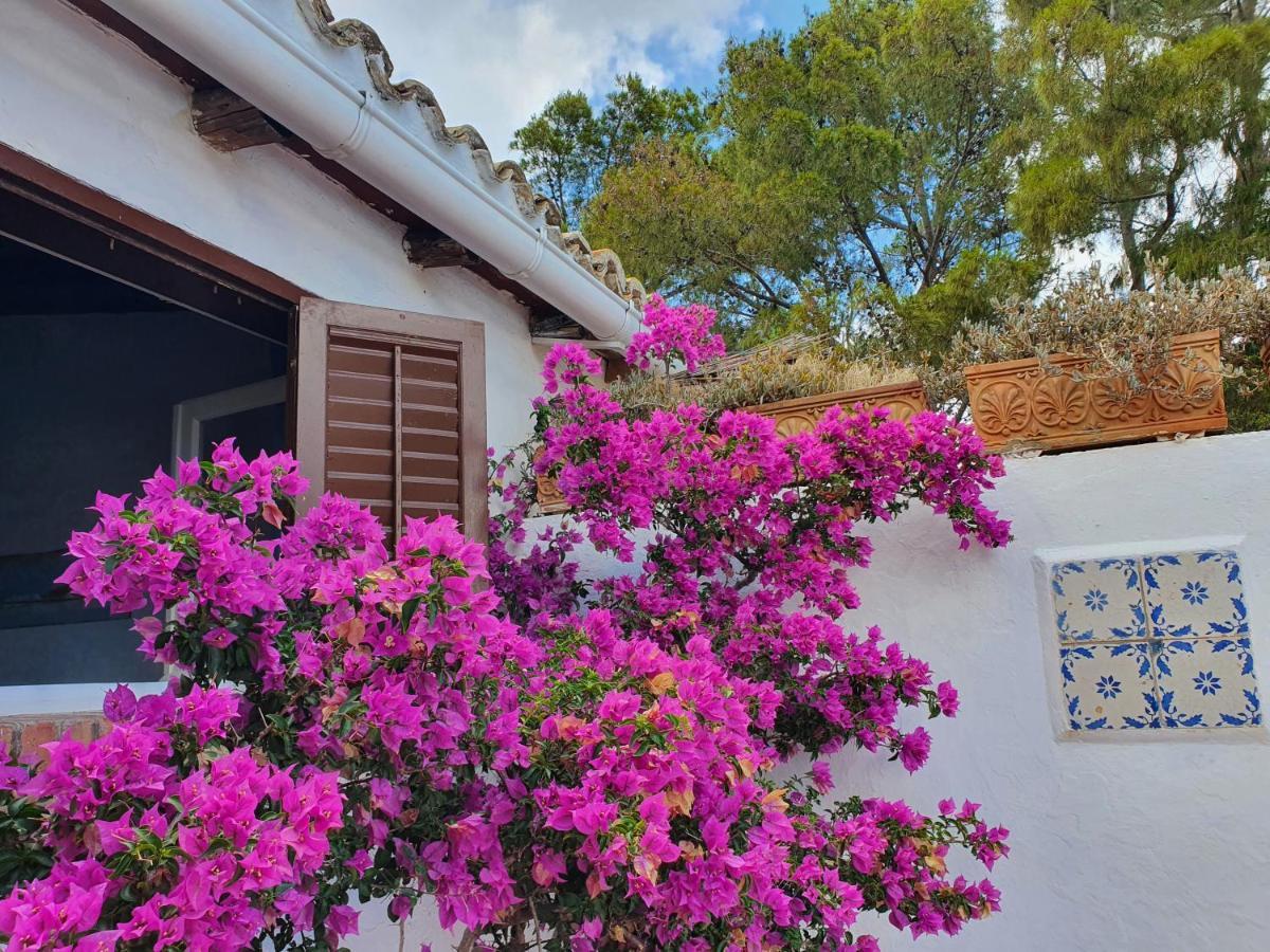 Villa Tonnara San Vito Lo Capo Esterno foto