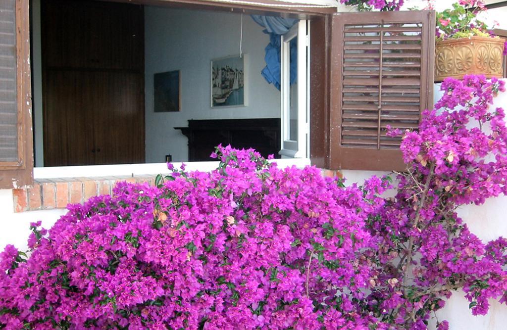 Villa Tonnara San Vito Lo Capo Esterno foto